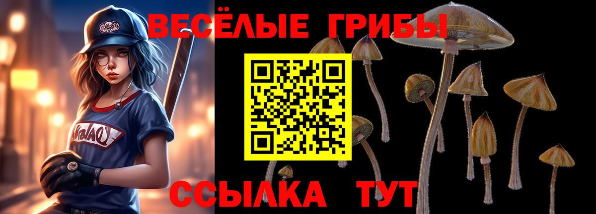 Псилоцибиновые грибы GOLDEN TEACHER  Псилоцибиновые грибы GOLDEN TEACHER  Вход с VPN  Краснознаменск 